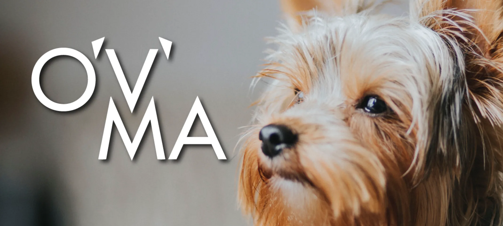 Ontario Veterinary Medical Association (OVMA)